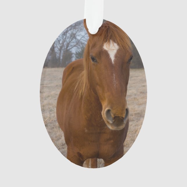 Horse pose ornament (Back)