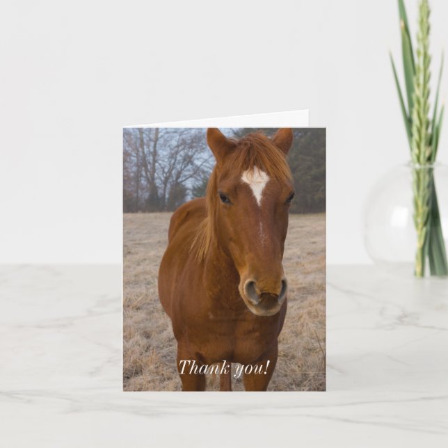 Horse Pose Thank You Card (Front)