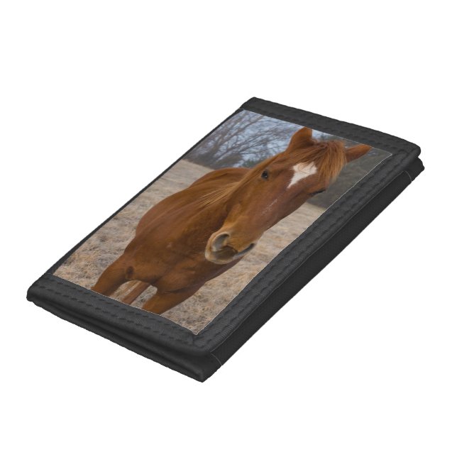 Horse pose tri-fold wallet (Bottom)