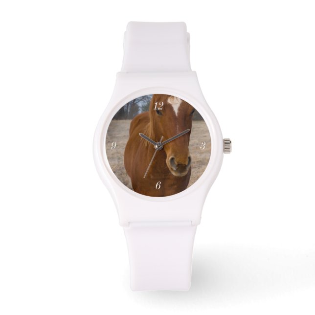 Horse pose watch (Front)