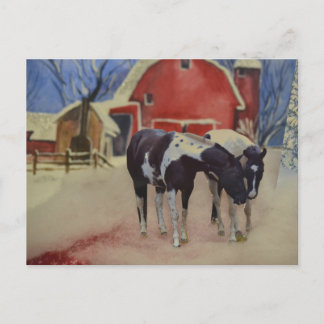 horse post card of fillies, Fargo and Sugar