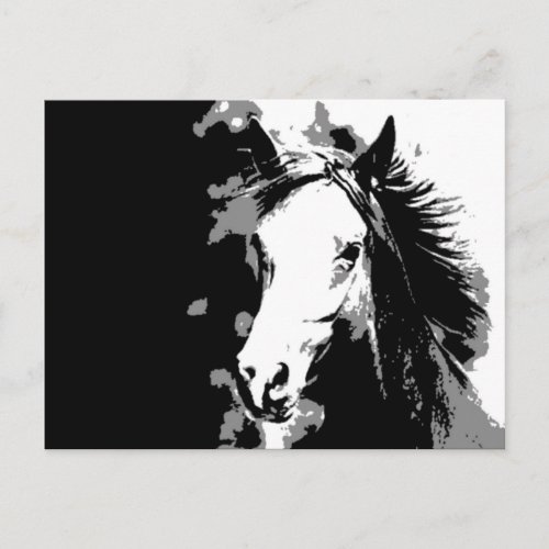 Horse Postcard