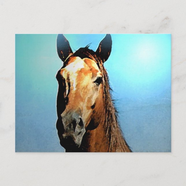 Horse Postcard (Front)