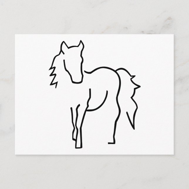 Horse Postcard (Front)
