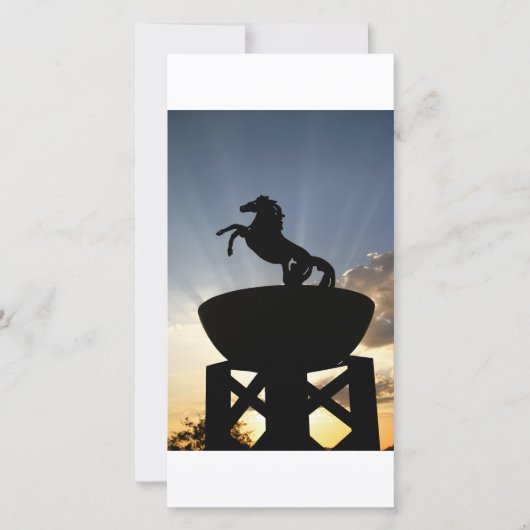 horse postcard (Front)