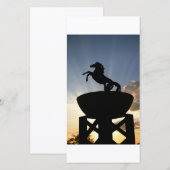 horse postcard (Front/Back)