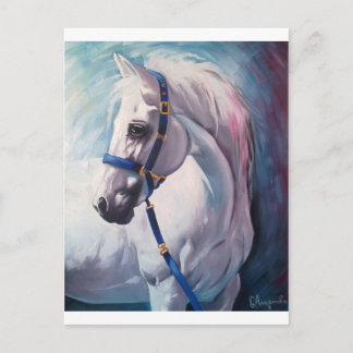 Horse Postcard