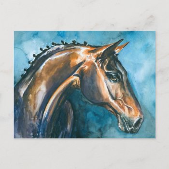 Horse Postcard by watercoloring at Zazzle