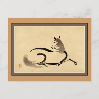 Horse Postcard