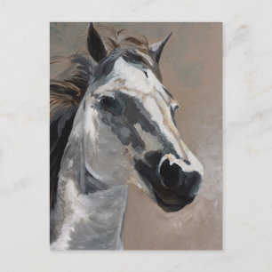 Horse Postcards