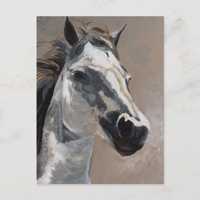 Horse Postcards (Front)