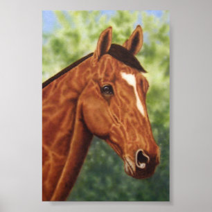 Horse Poster