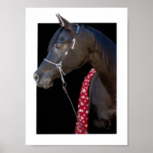 Horse Poster