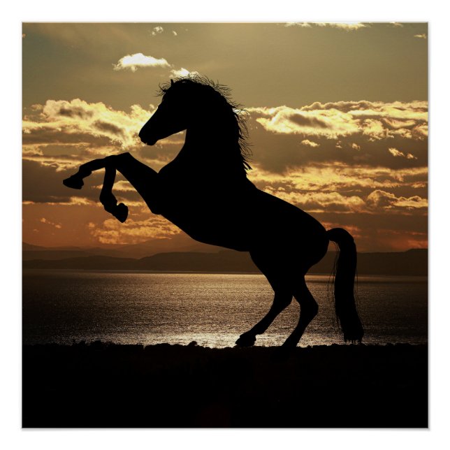 horse poster (Front)