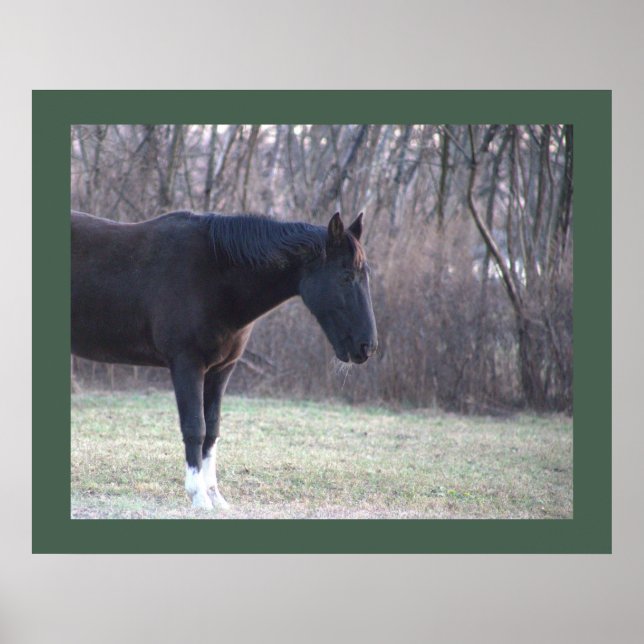 Horse Poster (Front)