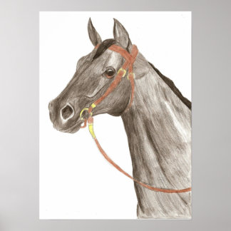 Horse Poster