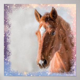 Horse poster