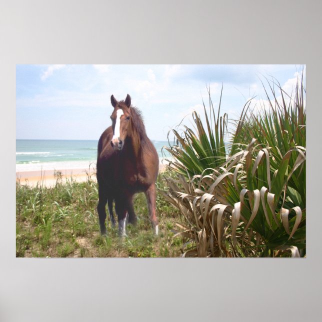 Horse Poster Beach (Front)