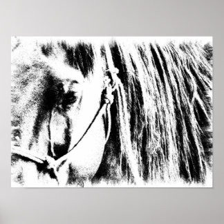 Horse Poster - Black and White