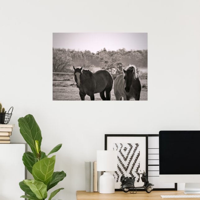 Horse Poster Photography (Home Office)