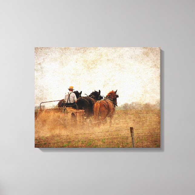 Horse Powered Field Work Canvas Print (Front)