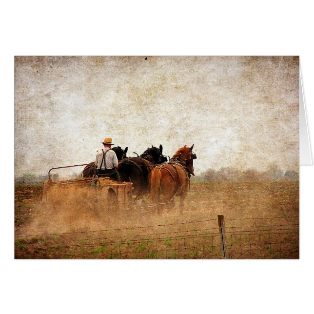 Horse Powered Field Work Cards (Front Horizontal)