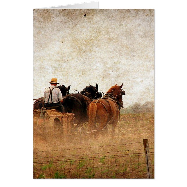 Horse Powered Field Work Cards (Front)