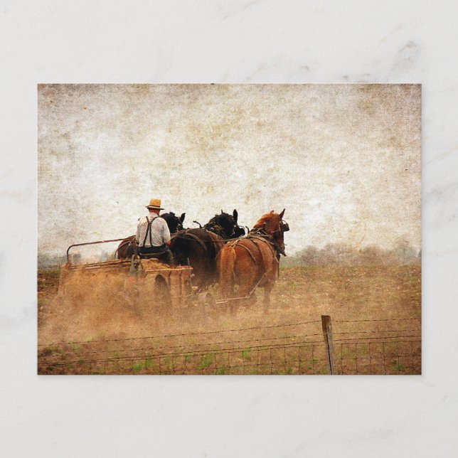 Horse Powered Field Work Postcard (Front)