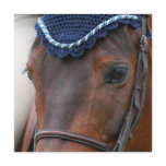 Horse Profile Invitations