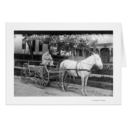 Horse pulling Delivery Wagon Photograph Cards (Front Horizontal)