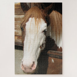 Horse Puzzle