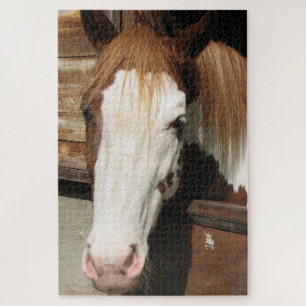 Horse Puzzle