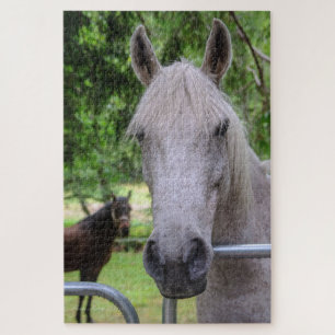 Horse Puzzle
