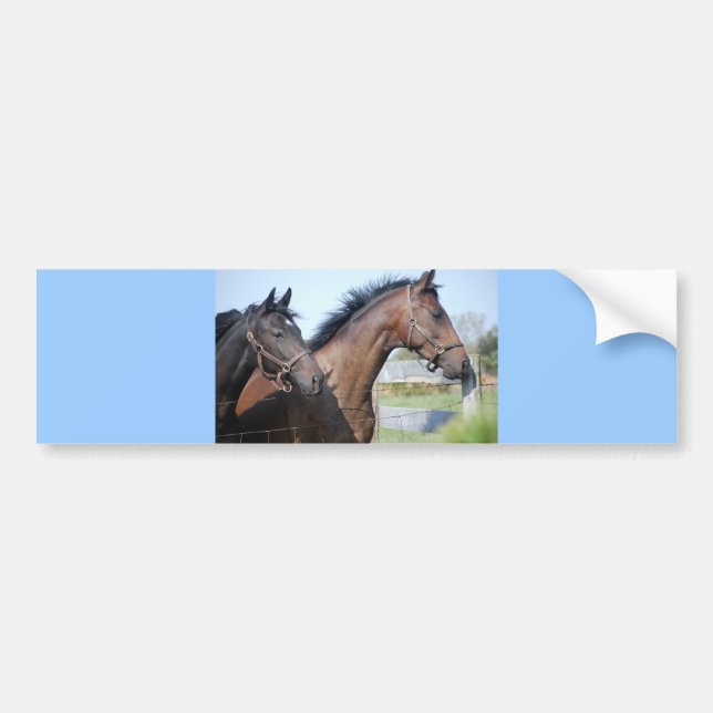 Horse Race Finish Line Bumper Sticker (Front)