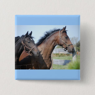 Horse Race Finish Line Button