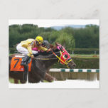 Horse Race Finish Postcard