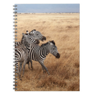 HORSE RACE NOTEBOOK