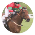 Horse Race Stickers