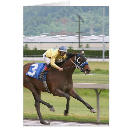 Horse racing cards (Front)
