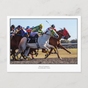 Horse Racing Postcard