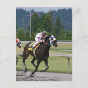 Horse racing postcard