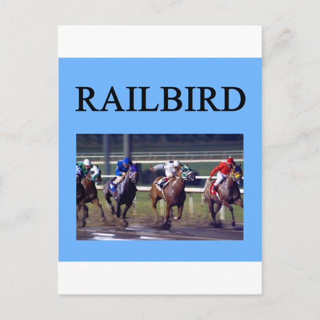 HORSE RACing railbird Postcard (Front)