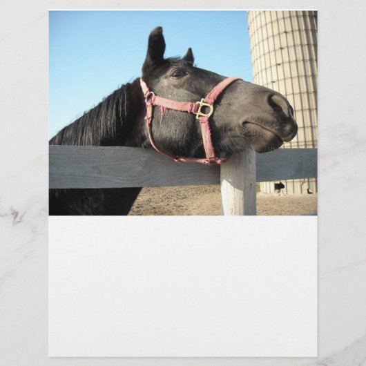 Horse/Ranch/Barn (Front)