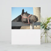 Horse/Ranch/Barn (Standing Front)