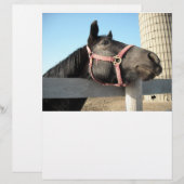 Horse/Ranch/Barn (Front/Back)