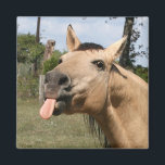 horse razzberry magnet<br><div class="desc">buckskin horse with tongue stuck out as if in a razzberry or bronx cheer</div>