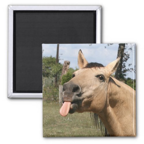 horse razzberry magnet