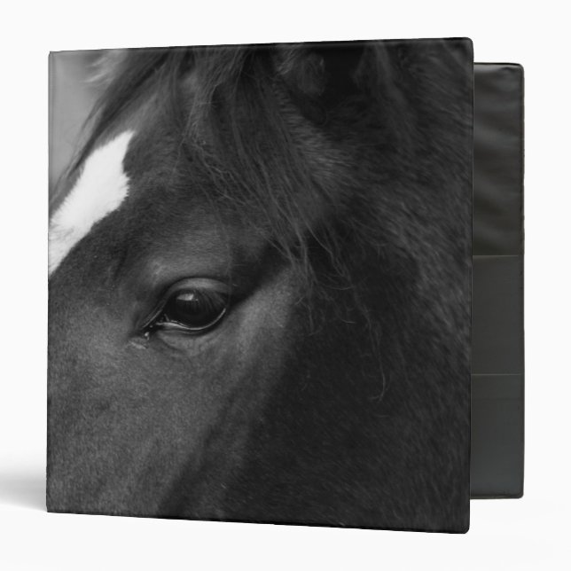 Horse rba 3 ring binder (Front/Inside)
