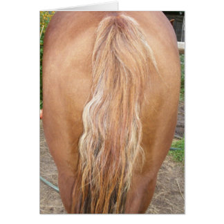 horse rearend cards