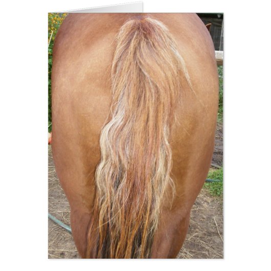 horse rearend cards (Front)